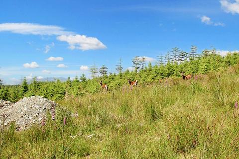 Land for sale, Stag Roar Development site, Achnabobane, Spean Bridge PH34