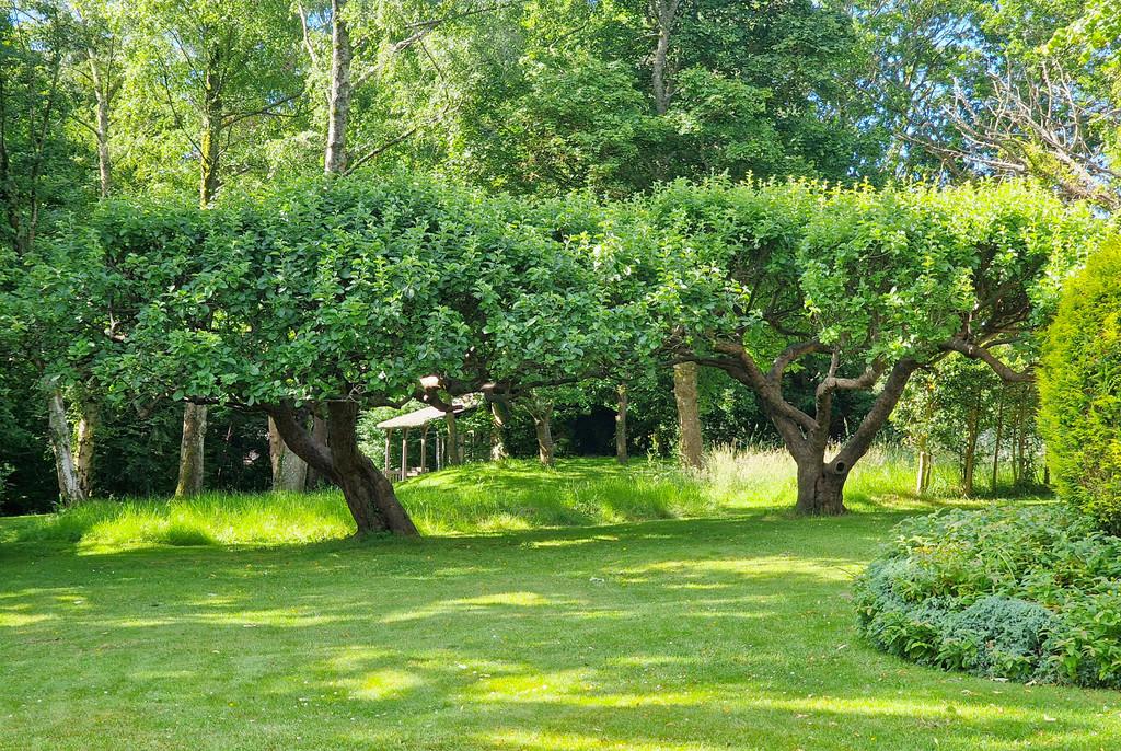 Crooked Cottage Woodland