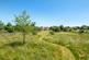 Grassed Meadow Area