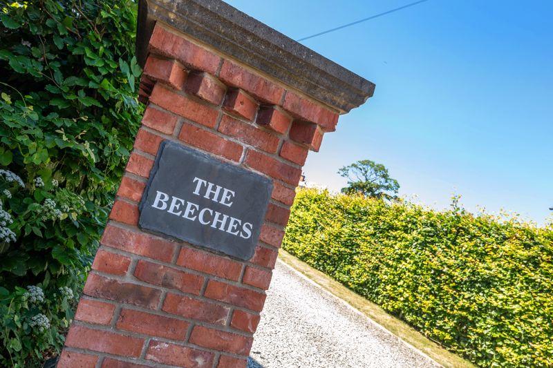 The Beeches
