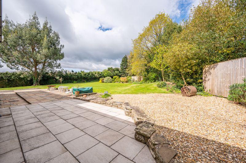 Patio and Garden