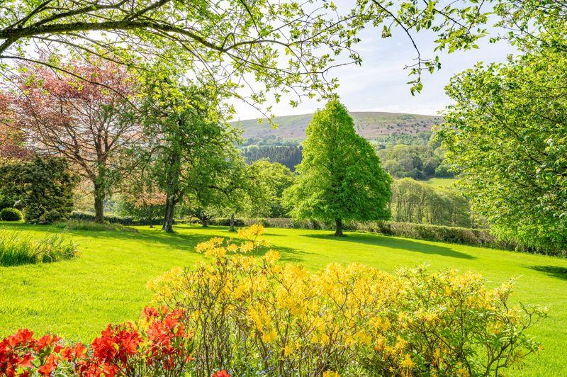 Garden and Views