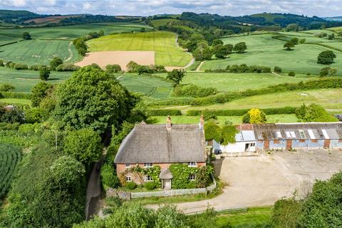 Farm land for sale, Bilshay Farm, Dottery, Bridport, Dorset, DT6