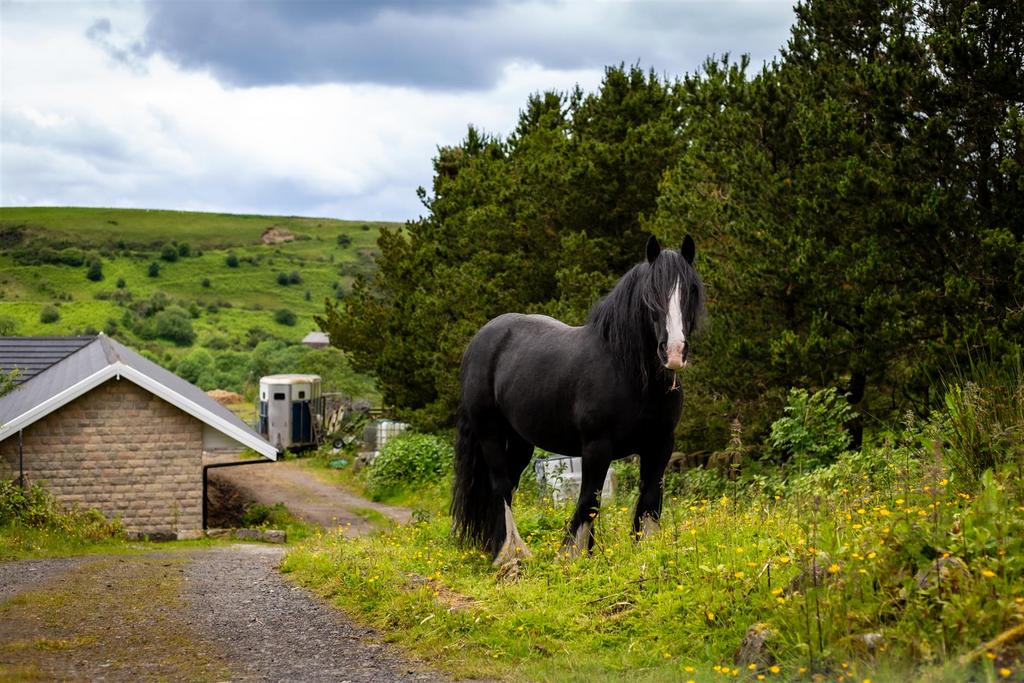 Stables