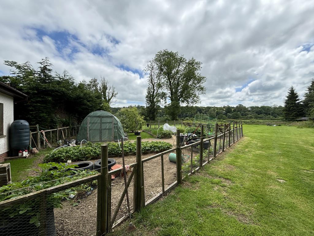 Vegetable growing garden