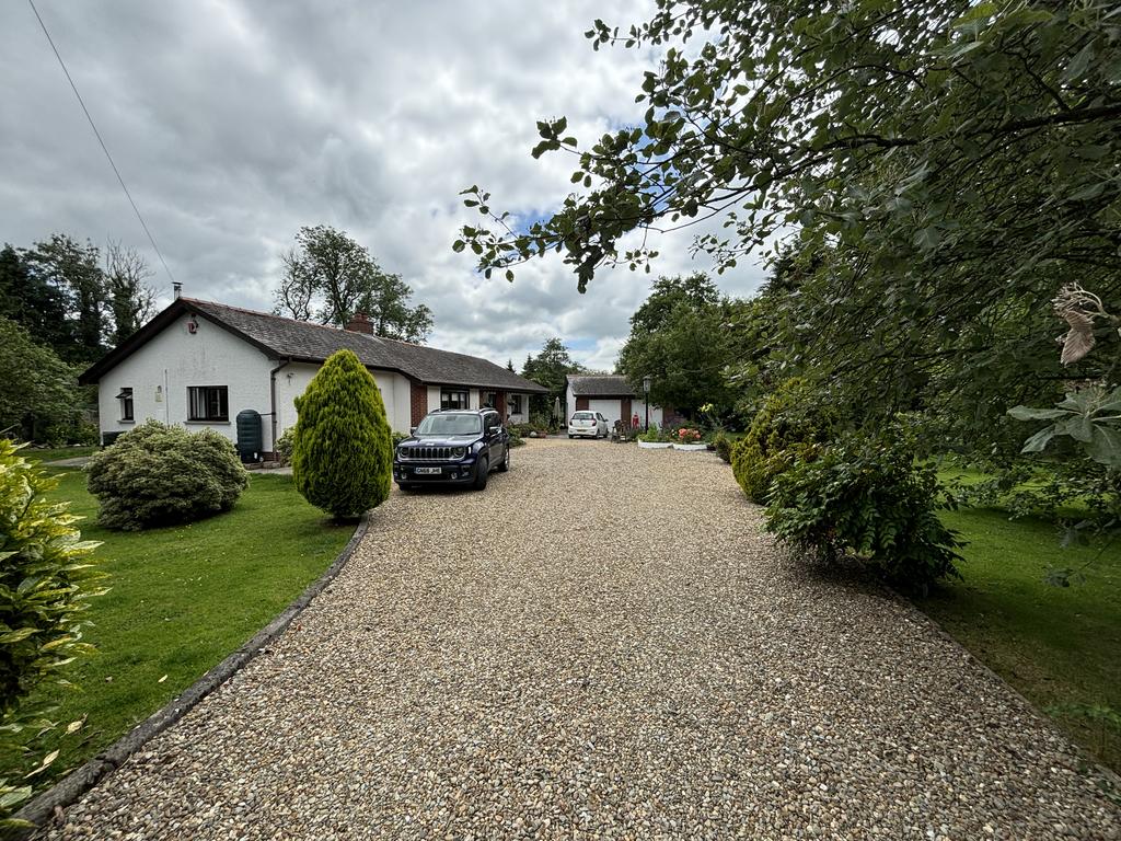 Parking and driveway