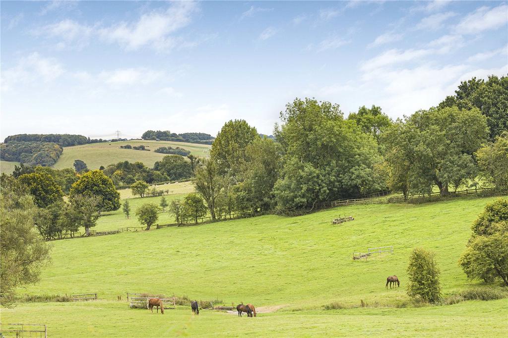 Picture 23