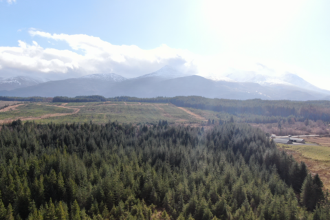 Land for sale, Field of Dreams, Spean Bridge, Fort William PH34