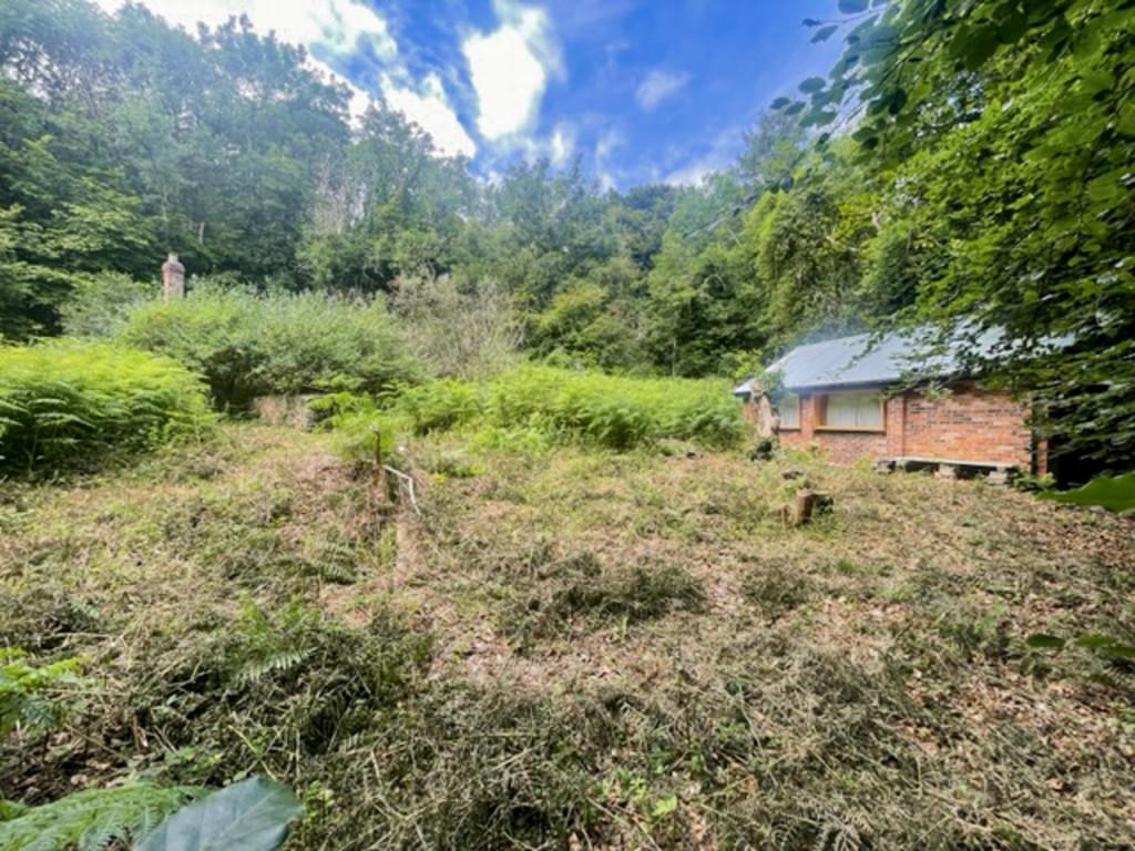 4 img 2700