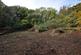 Additional image 11 of Minepitts Lane, Symonds Yat West