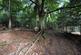Additional image 9 of Minepitts Lane, Symonds Yat West