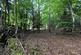 Additional image 10 of Minepitts Lane, Symonds Yat West