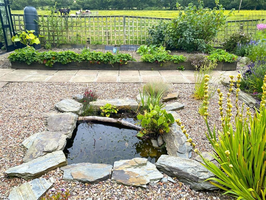 Small Pond!