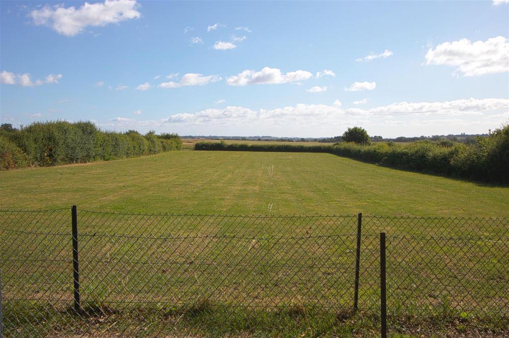 FIELD.jpg