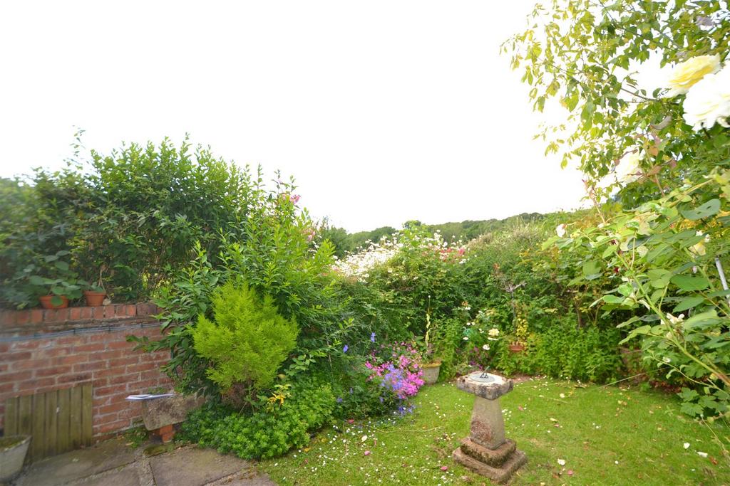 Dsc 0111.jpg