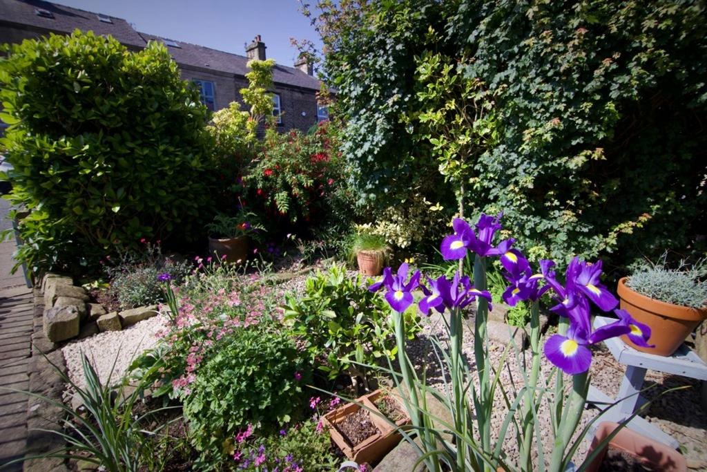 Front garden