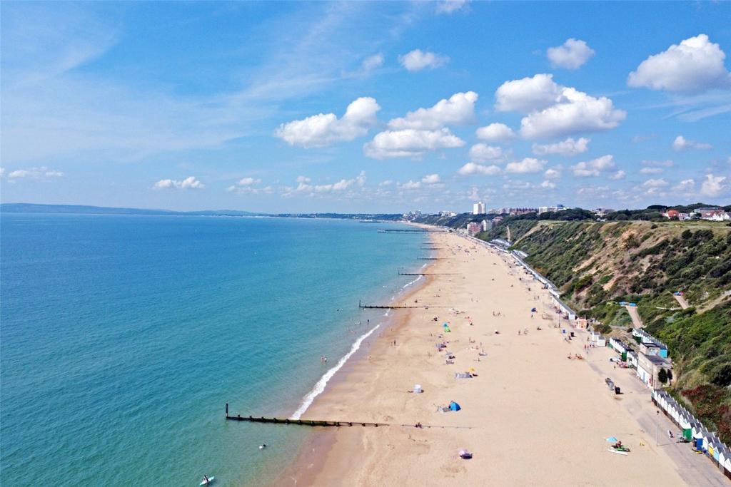 Coastline In Summer