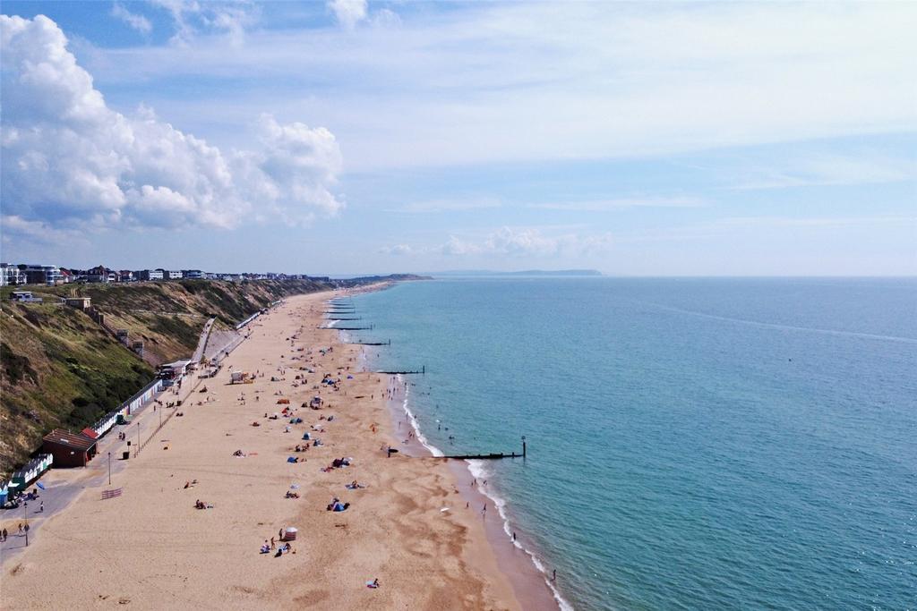 Coastline In Summer