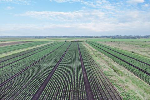 undefined, Branston Booth, Middle Fen Lane, Washingborough, Lincoln, LN4