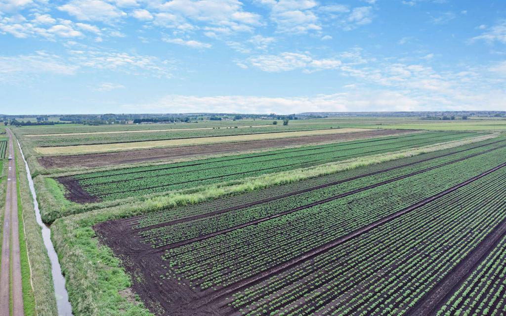 Land