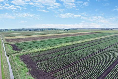 undefined, Branston Booth, Middle Fen Lane, Washingborough, Lincoln, LN4