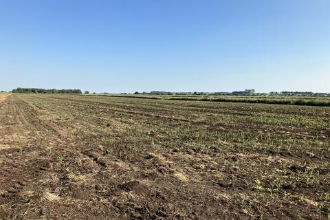 undefined, Branston Booth, Middle Fen Lane, Washingborough, Lincoln, LN4
