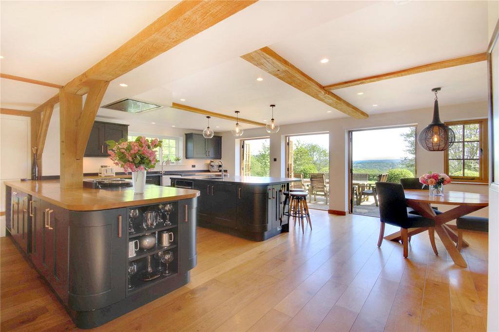 Kitchen/Family Room