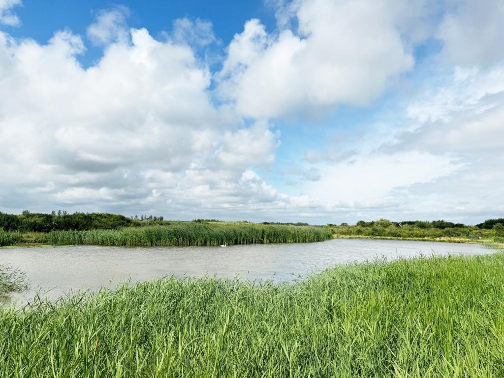 View of flight pond