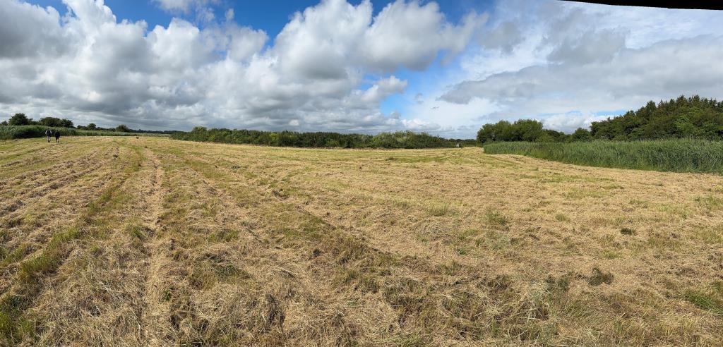 View of the land 2