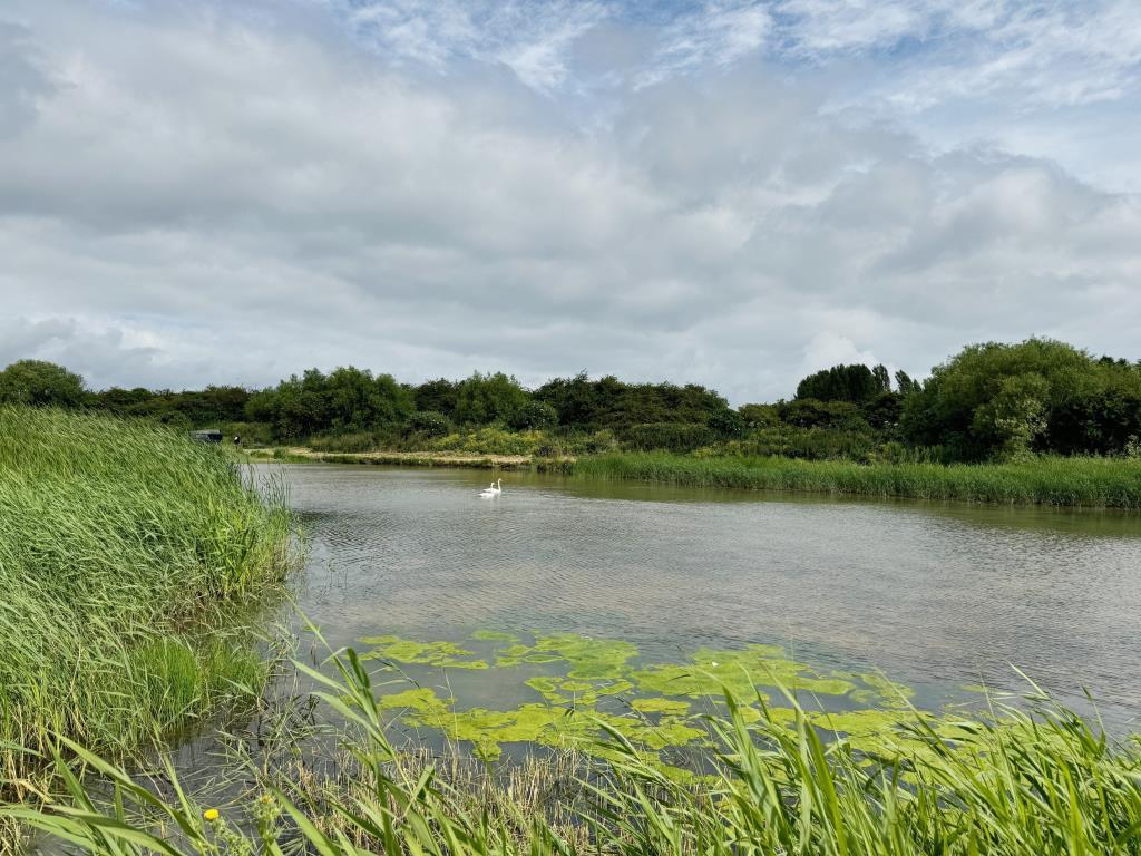View of flight pond 4