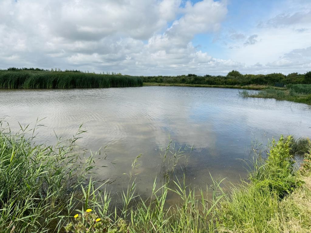 View of flight pond 5
