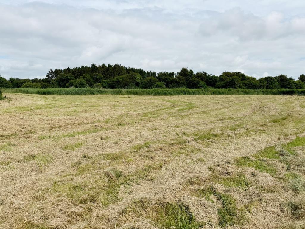 View of land 3