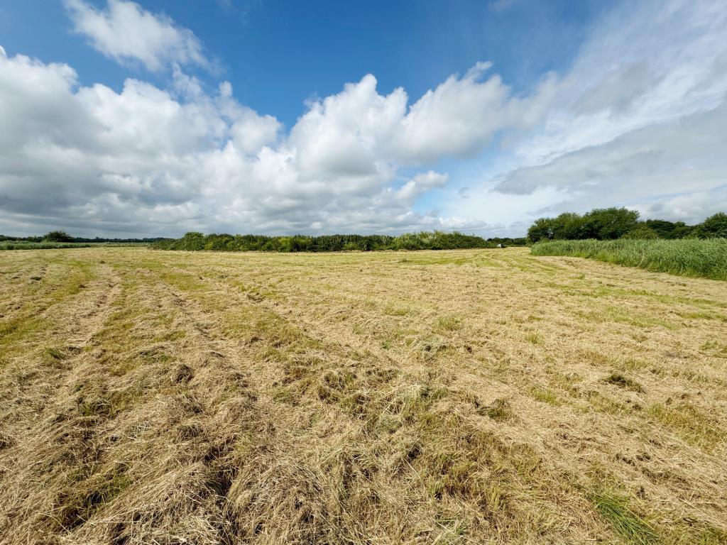 View of the land
