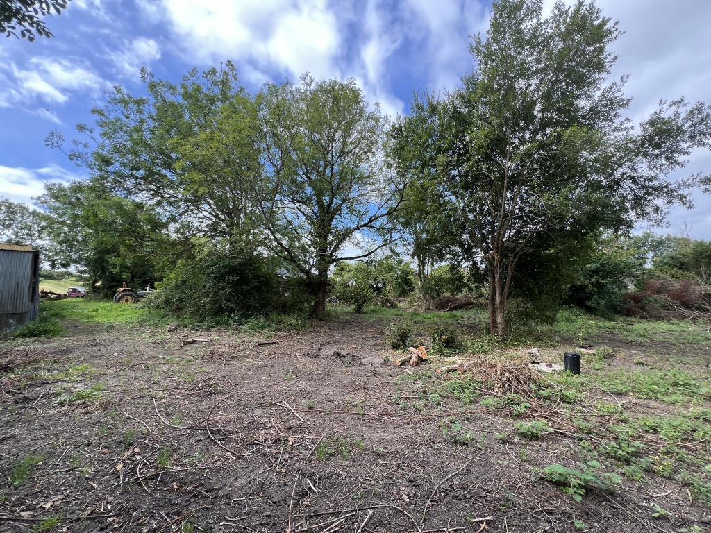 Part of the plot cleared for the development