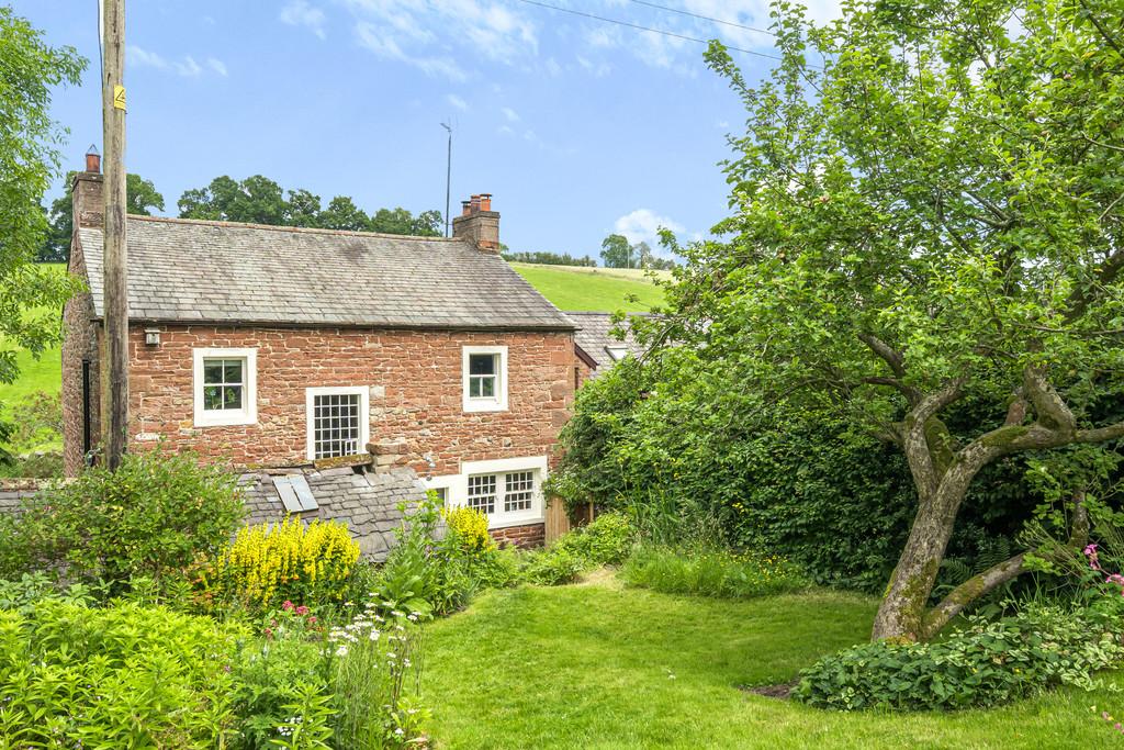 Rear Elevation and Garden
