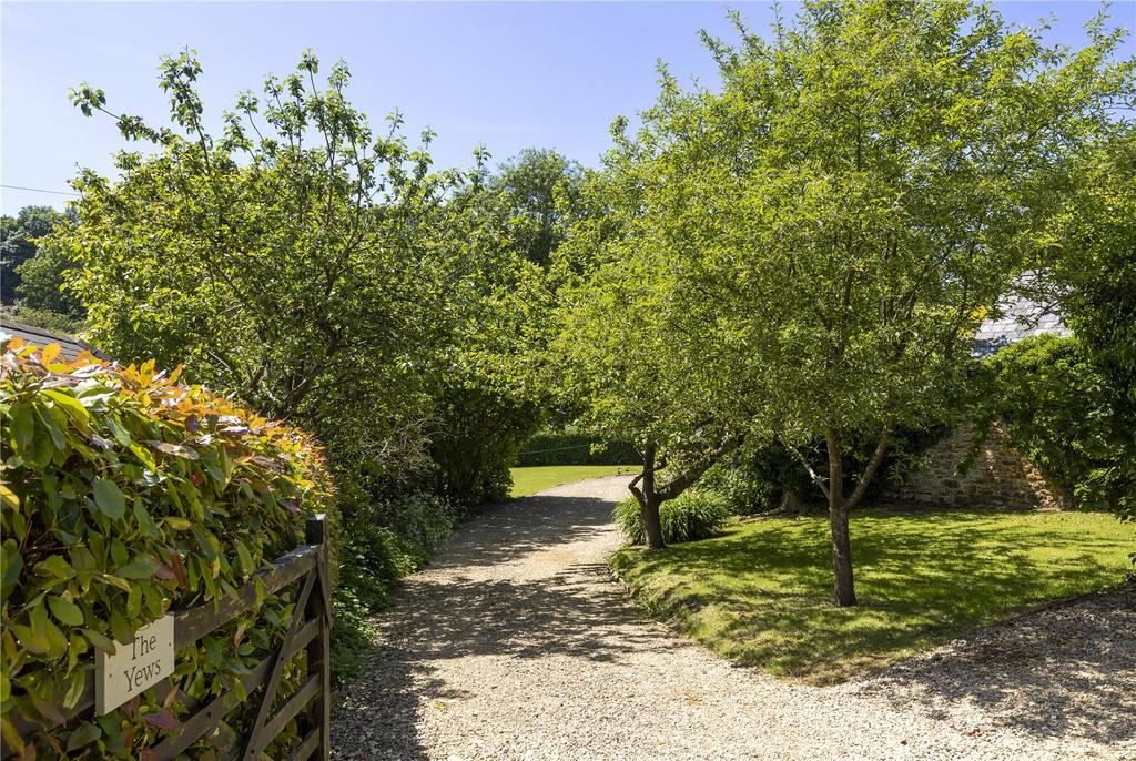 Driveway and Garden