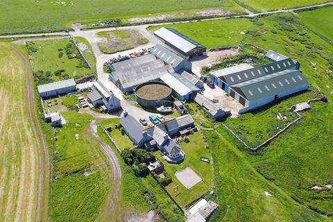 Farm for sale, Noup Farm, Westray, Orkney