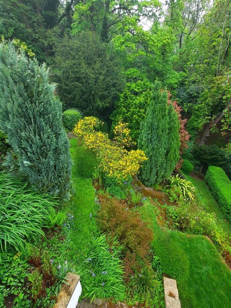 Garden.jpeg