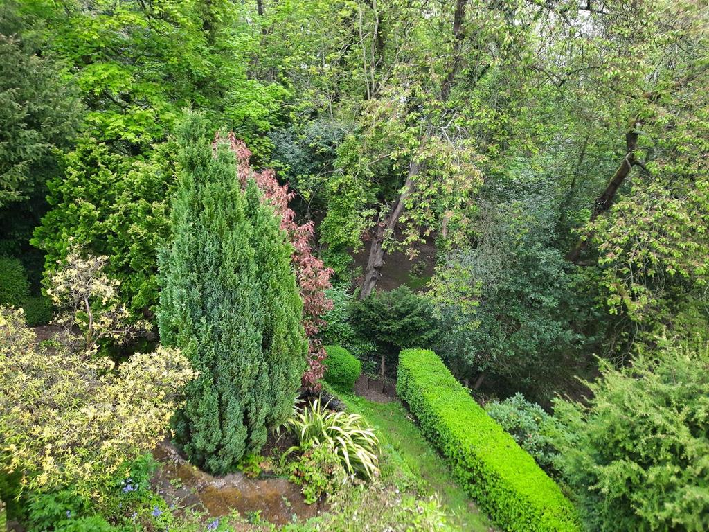 Garden.jpeg