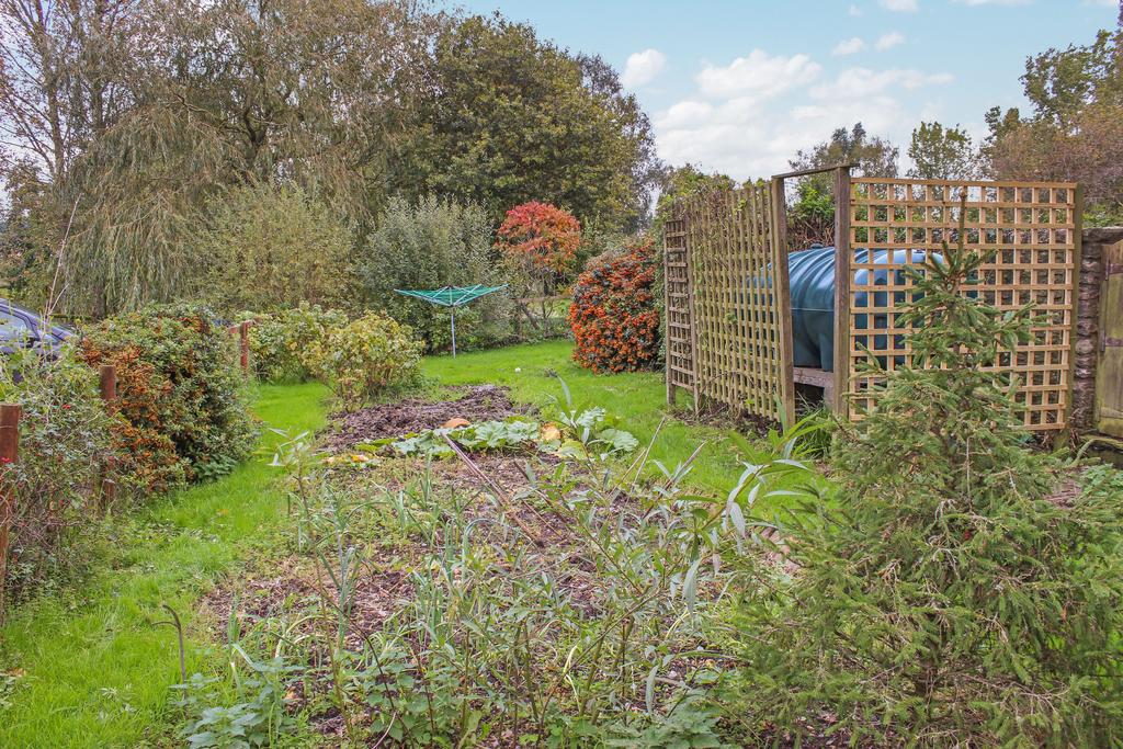 Allotment.JPG