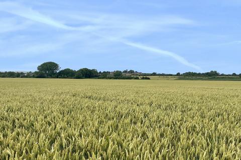 Farm land for sale, Langport Road, Middlezoy, TA7