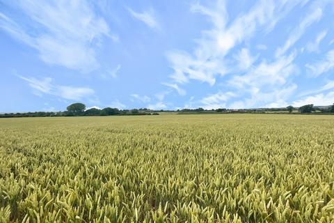 Farm land for sale, Langport Road, Middlezoy, TA7