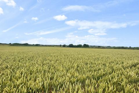 Farm land for sale, Langport Road, Middlezoy, TA7