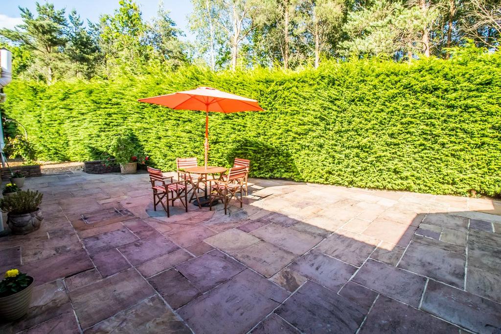 Rear Garden pic 2