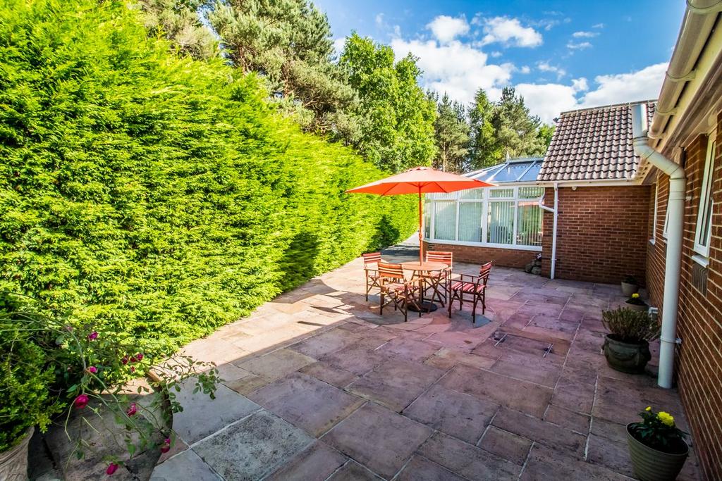 Rear Garden pic 3