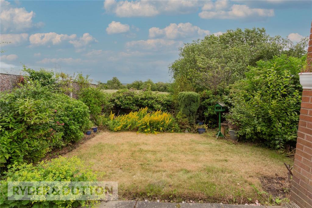 Picture No. 11
