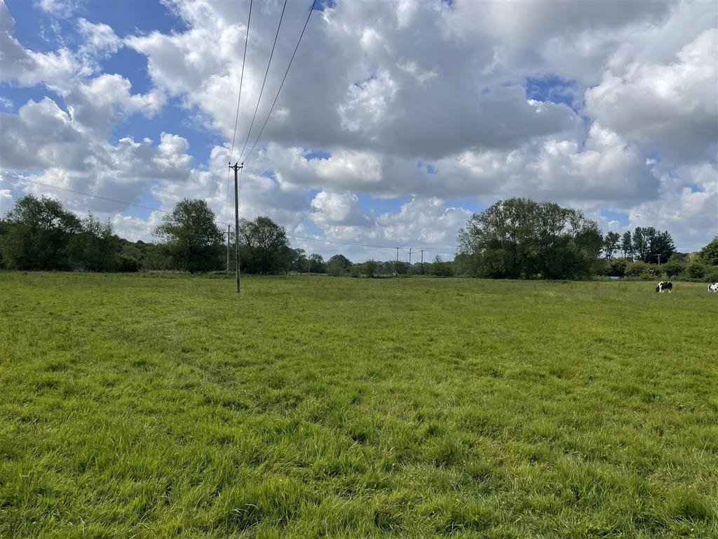 Pilon and Field.jpg