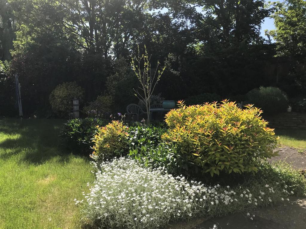 Garden 1.jpg