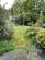 Garden 2.jpg