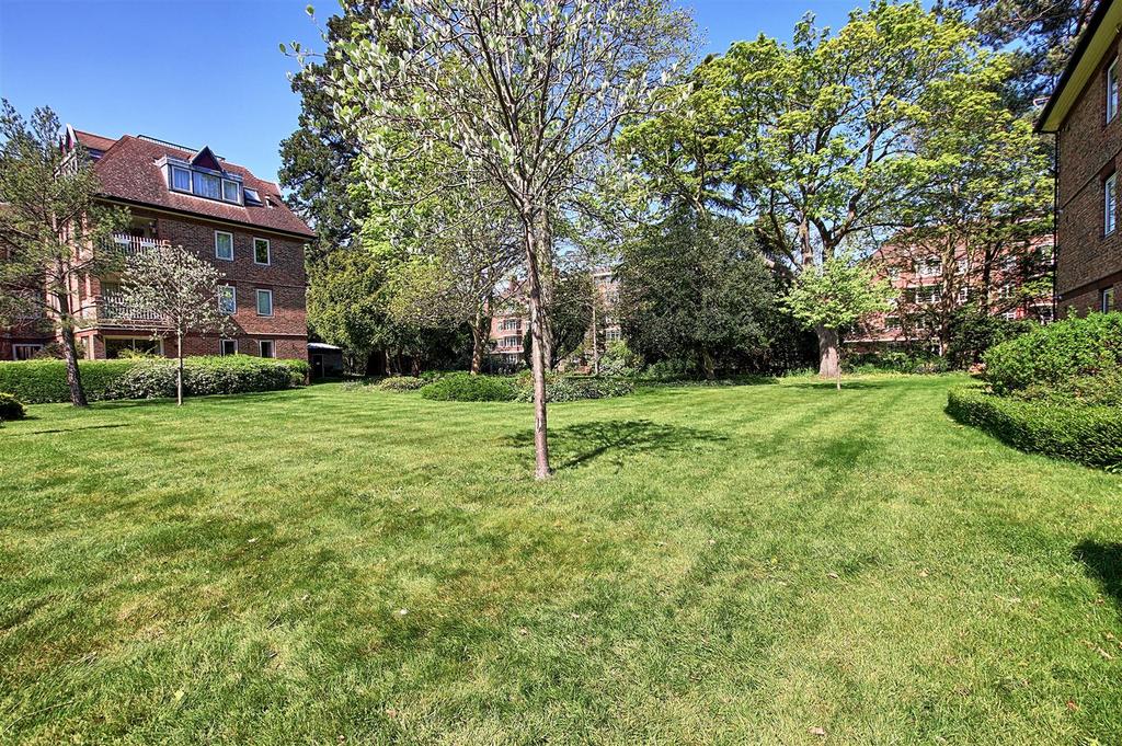 Garden 2.jpg